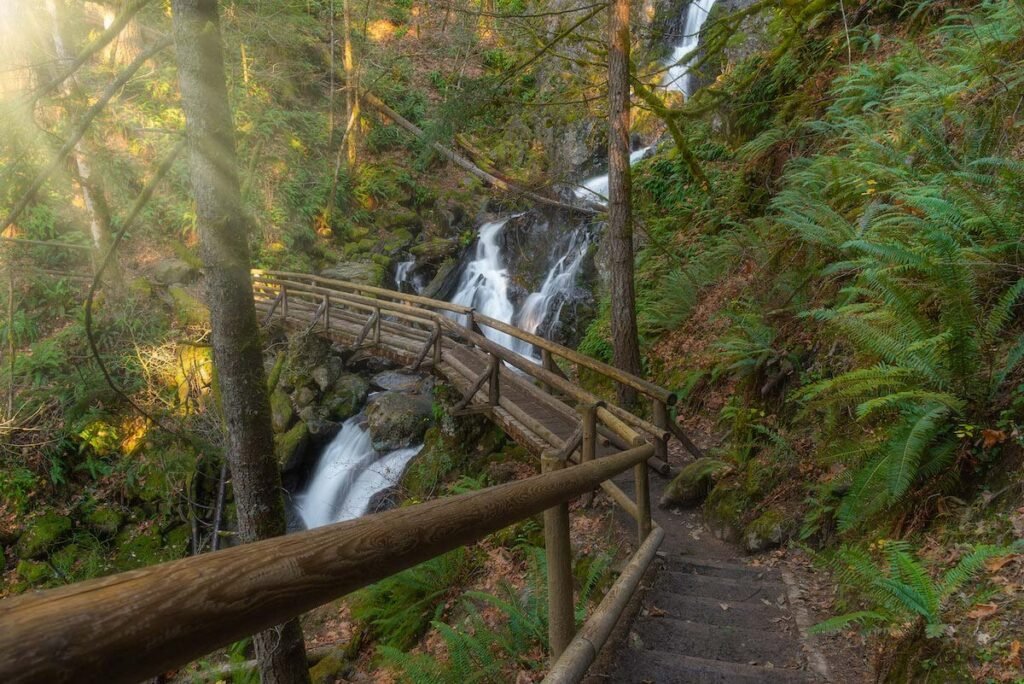 Are There Any Good Hiking Trails Near Vancouver Washington?