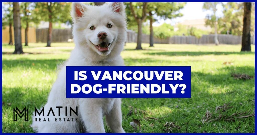 Are There Any Pet-friendly Parks In Vancouver Washington