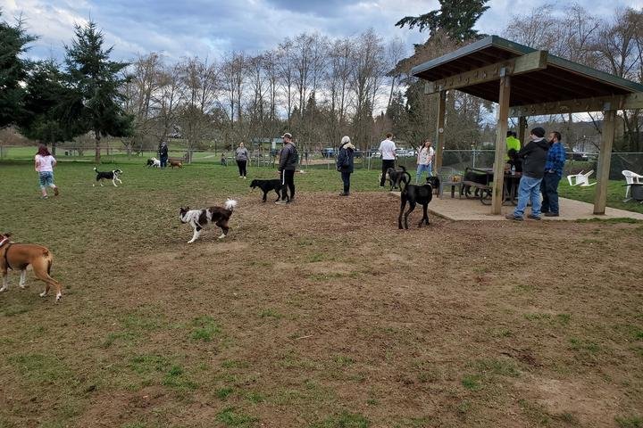 Are There Any Pet-friendly Parks In Vancouver Washington